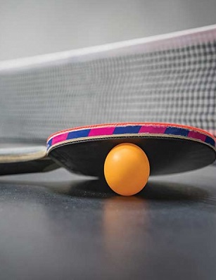 TABLE-TENNIS apartments tambaram
